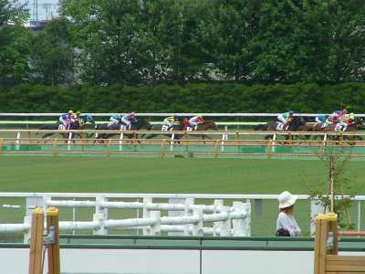 Ｈ22.6.19　競馬場