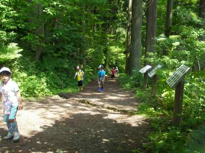 Ｈ22.6.26　函館山