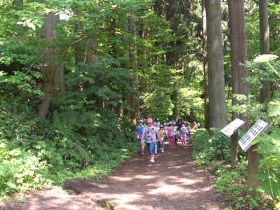 平成22年6月26日　函館山登山