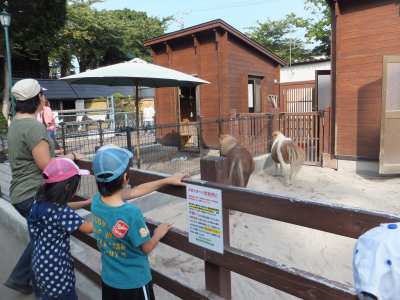 平成25年9月21日　函館公園